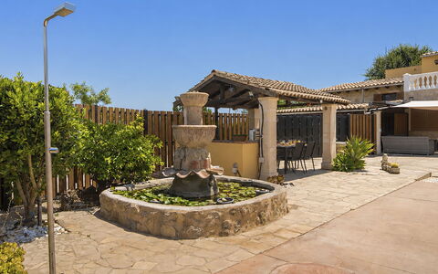 Cas Pec: Domicile, Ombre, Biens, Jardin, Dalle, Aménagement Paysager, Hacienda, Béton, Arrière-Cour, Cour