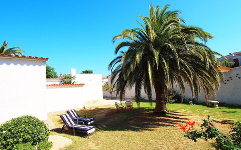 Alberes: Plante, Ciel, Bâtiment, Ombre, Arecales, Végétation, Herbe, Paysage, Immobilier, Arbre