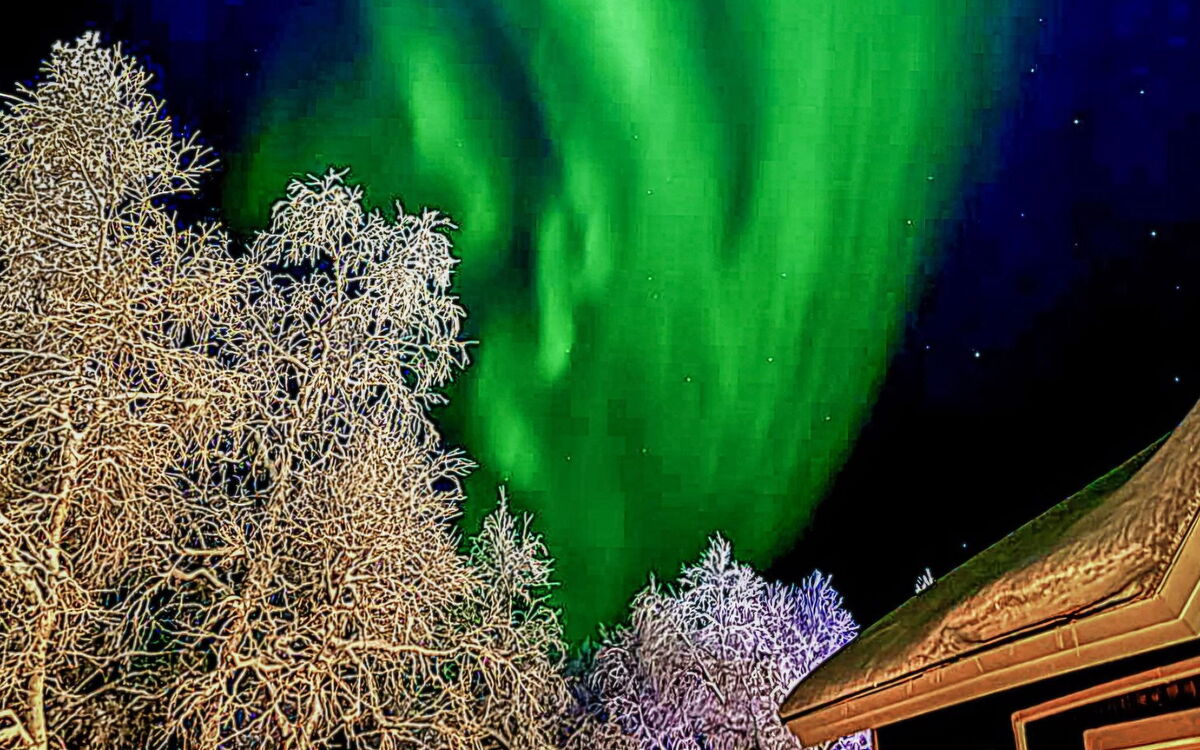 Tunturikuksa