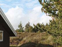 Rømø Bolilmark
