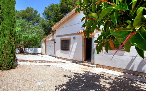 Villa Palma: Plante, Bâtiment, Ciel, Arbre, Fenêtre, Maison, Chalet, Bois, Surface De La Route, Immobilier