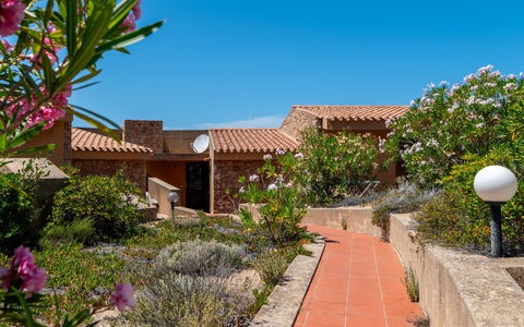 Costa Paradiso 450: Ciel, Plante, Jour, Propriété, Fleur, Bâtiment, Biome, Loisir, Fenêtre, Immobilier