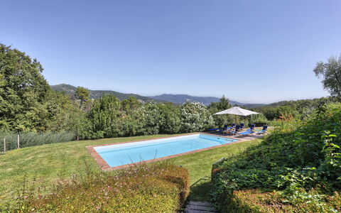 Le Pergole: Paysage Naturel, Propriété, Piscine, Immobilier, Réserve Naturelle, Biens, Maison, Paysage, Zone Rurale, Herbe