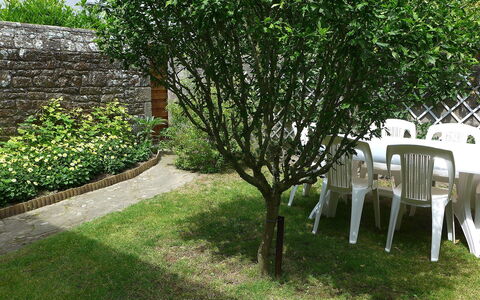 Pasteur: Plante, Lot Terre, Paysage Naturel, Herbe, Suppression Des Plantes Ligneuses, Ombre, Arbuste, Chaise, Couverture De Sol, Paysage
