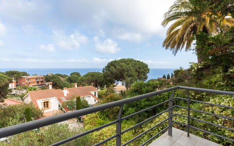 Palmbeach: Nuage, Ciel, Plante, Propriété, Bâtiment, Arbre, Clôture, Fenêtre, Chalet, Immobilier