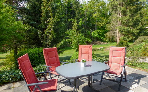 Zum Munteren Eichhörnchen: Plante, Meubles, Propriété, Table, Chaise, La Nature, Mobilier De Jardin, Bois, Tableau De Plein Air, Arbre