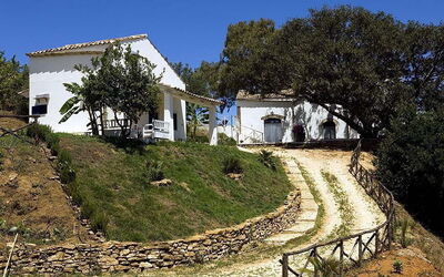 Casale Del Ponte