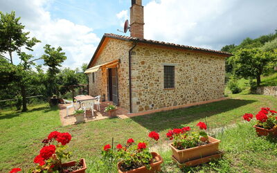 Cortona 935