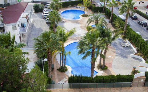 Calpe Calp 315: Plante, L'Eau, Bleu Azur, Bâtiment, Arecales, Design Urbain, Végétation, Arbre, Biome, Loisir