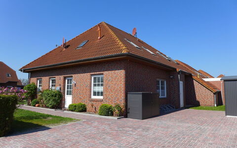 Martina: Ciel, Bâtiment, Plante, Fenêtre, Maison, Surface De La Route, Lot Terre, Bois, Porte