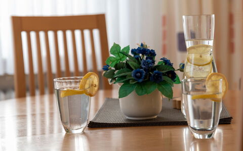 Norddeich 780: Table, Fleur, Vaisselle, Plante, Drinkware, Meubles, Vase, Coupe, Vaisselle, L'Eau
