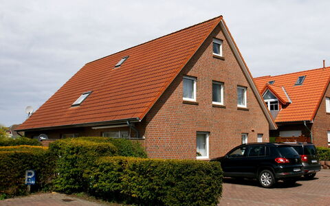 Storchennest: Roue, Plante, Voiture, Bâtiment, Ciel, Fenêtre, Véhicule, Maison