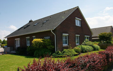 Norddeich 781: Plante, Ciel, Nuage, Bâtiment, Fenêtre, Propriété, Fleur, Maison, Botanique, Végétation