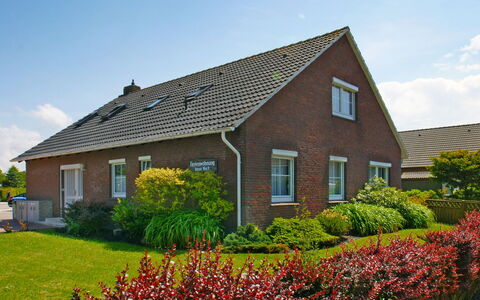 Norddeich 781: Plante, Ciel, Fleur, Nuage, Fenêtre, Bâtiment, Maison, Arbre, Lot Terre, Végétation