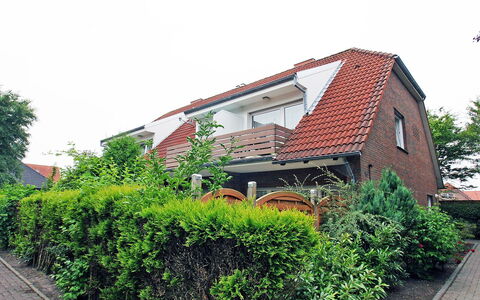 Blinkfeuer: Plante, Ciel, Bâtiment, Arbre, Lot Terre, Arbuste, Quartier, Suppression Des Plantes Ligneuses, Design Urbain