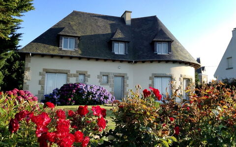 Les Rimains: Fleur, Plante, Bâtiment, Fenêtre, Ciel, Propriété, Maison, Végétation, Herbe, Arbre