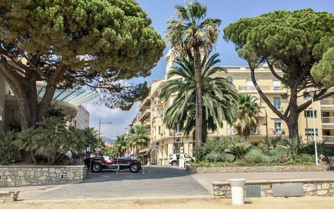 Les Sirènes: Ciel, Plante, Bâtiment, Arbre, Surface De La Route, Ombre, Arecales, Design Urbain, Roue, Suppression Des Plantes Ligneuses