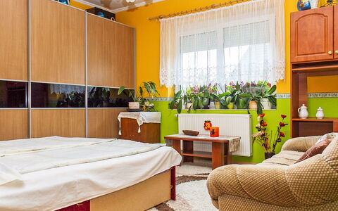 Colore: Plante, Propriété, Cabinetry, Meubles, Bâtiment, Fenêtre, Plante D'Appartement, Confort, Design Intérieur, Décoration