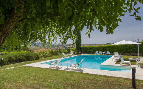 Aurelia: L'Eau, Plante, Piscine, Bleu Azur, Ombre, Arbre, Mobilier De Jardin, Ciel, Plan D'Eau, Herbe