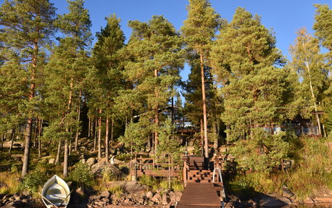 Villa Miestamo: Arbre, Plan D'Eau, Environnement Naturel, La Nature, Bois, Paysage Naturel, Banque, Lac, Forêt