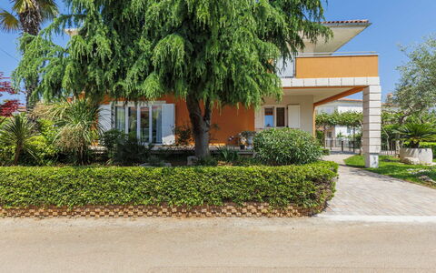 Umag 119: Plante, Bâtiment, Feuille, Ciel, Arbre, Lot Terre, Maison, Herbe, Fenêtre, Arecales