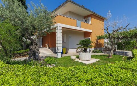 Umag 119: Plante, Bâtiment, Propriété, Ciel, La Nature, Botanique, Maison, Végétation, Lot Terre, Arbre