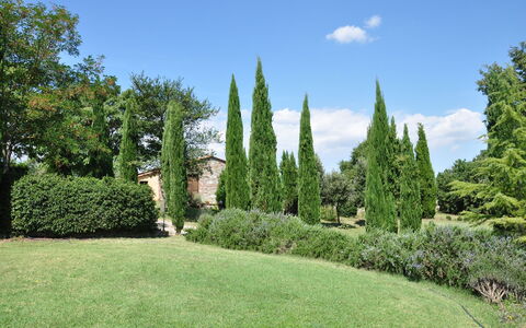 Le Querce Di Campocane: Arbre, Herbe, Jardin, Thuya, Arbuste, Pelouse, Plante, Jardin Botanique, Propriété, Suppression Des Plantes Ligneuses