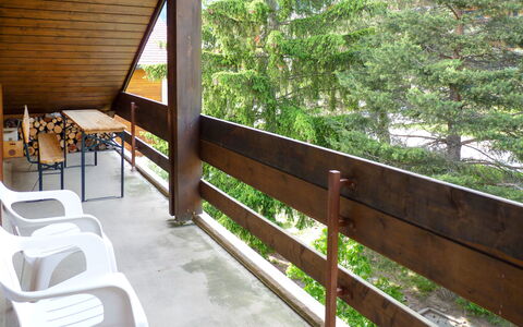 Orion 205: Bois, Botanique, Arbre, Ombre, Clôture, Herbe, Dur, Loisir, Chalet