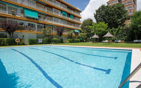 Buenos Aires: Bâtiment, Plante, Jour, Propriété, Nuage, Ciel, Fenêtre, Piscine, Bleu Azur, Arbre