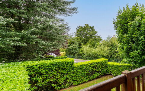 Les Manoirs: Vert, Feuille, Végétation, Arbuste, Haie, Jardin, Communauté Des Plantes, Couverture De Sol, Suppression Des Plantes Ligneuses, Pelouse