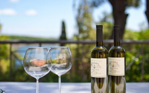 Verudela: Bouteille En Verre, Boisson, Bouteille De Vin, Bouteille, Du Vin, Boisson Alcoolisée, Verre De Vin, Verre, Verres À Pied