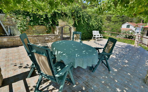 Ratimir: Plante, Table, Meubles, Tableau De Plein Air, Chaise, Mobilier De Jardin, Arbre, Ombre, Table Cuisine Et Salle A Manger, Herbe