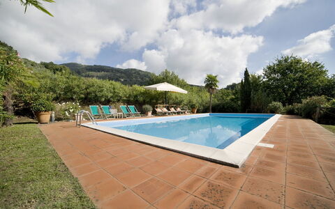 Teto: Piscine, Propriété, Immobilier, Biens, Loisir, Maison, Domicile, Bâtiment, Villa, Arrière-Cour