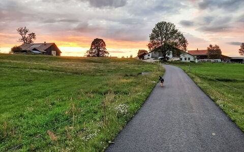 Les Grangettes: Ciel, Herbe, Nuage, Paysage, Plaine, Horizon, Zone Rurale, Lot Terre, Prairie, Champ