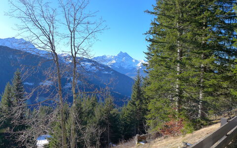 Alpe des Chaux 500: Ciel, Plante, Montagne, Bleu, Paysage Naturel, Mélèze, Arbre, Montagnes, Pente, Végétation