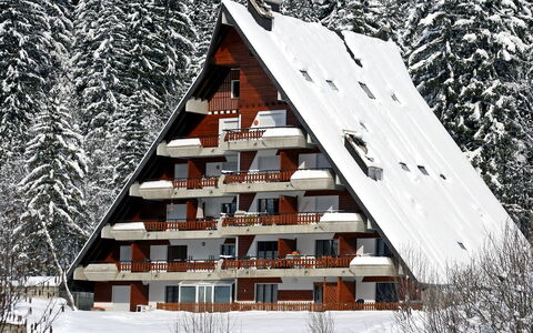 Anémone 2 16: Bâtiment, Propriété, Neige, Fenêtre, Feuille, La Nature, Bois, Plante, Maison, Architecture