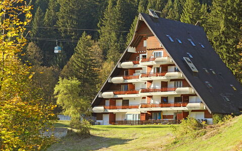 Anémone 2 16: Plante, Bâtiment, Fenêtre, Paysage Naturel, Arbre, Pente, Maison, Biome, Suppression Des Plantes Ligneuses, Paysage