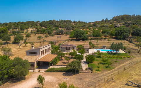 Cas Ciutada: Arbre, Biens, Domicile, Zone Rurale, Ferme, Hacienda, Villa, Ombre, Eco Hôtel, Cour