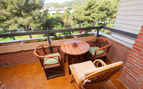 Rambla de Tossa: Meubles, Plante, Bâtiment, Arbre, Mobilier De Jardin, Bois, Design Intérieur, Ciel, Chaise, Sol