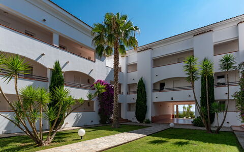 Casa Vecchi: Plante, Ciel, Jour, Propriété, Bâtiment, Fenêtre, Arbre, Arecales, Zone Résidentielle, Immobilier