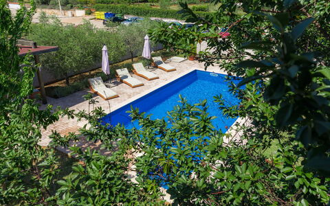 Adria: Plante, L'Eau, Communauté Des Plantes, Piscine, Paysage Naturel, Botanique, Mobilier De Jardin, Fleur, Cours D'Eau, Arbre