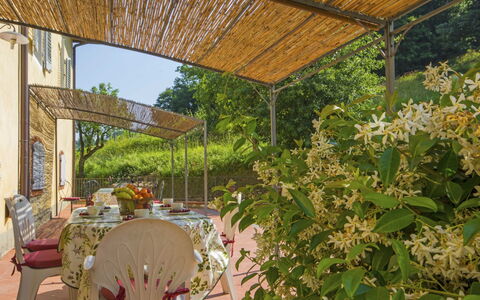 Montecatini Terme 810: Propriété, Botanique, Pergola, Fleur, Plante, Jardin, Patio, Immobilier, Ombre, Toit