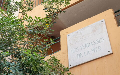 Saint Aygulf 141: Plante, Branche, Bâtiment, Végétation, Architecture, Bois, Brique, Immobilier, Façade, Teintes Et Ombres