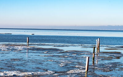Norddeich 805