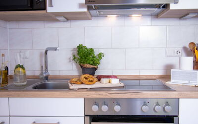 Logement:&nbsp;Lachmöwe 805.3
