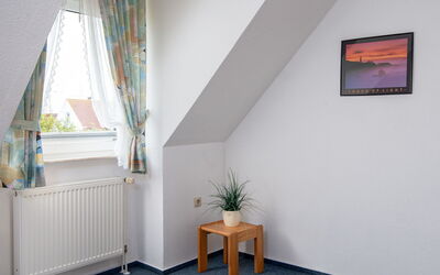 Logement:&nbsp;Mantelmöwe 805.4