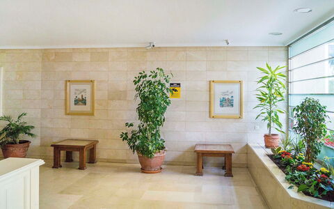 Puerto Paraíso: Propriété, Design Intérieur, Pièce, Bâtiment, Plafond, Mur, Plante D'Appartement, Sol, Maison, Architecture