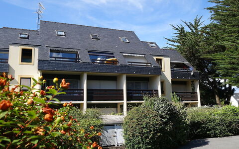 Plein Soleil: Plante, Ciel, Nuage, Propriété, Fenêtre, Bâtiment, Fleur, Maison, Arbre, Herbe