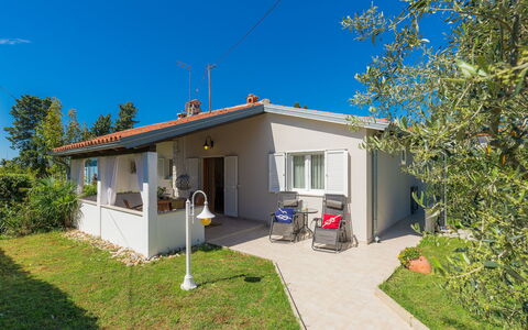 Punta: Plante, Ciel, Bâtiment, Propriété, Fenêtre, Maison, Arbre, Ombre, Lot Terre, Herbe