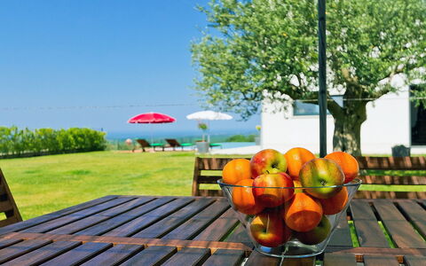 Anna: Plate-Forme, Herbe, Orange, Table, Arbre, Plante, Loisir, Immobilier, Paysage